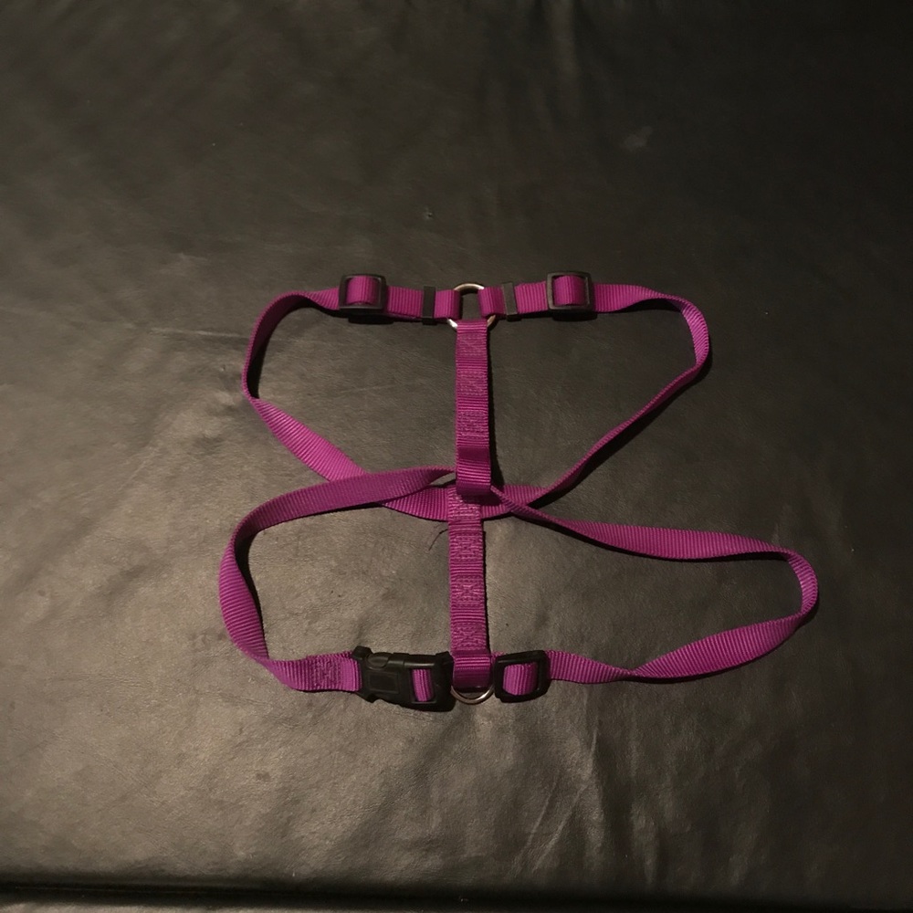 Medium Dog harness
